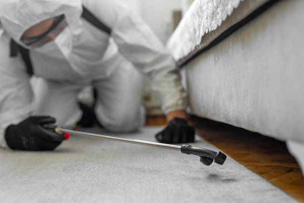 Professional Pest Control technician working in Hamilton County County, IN